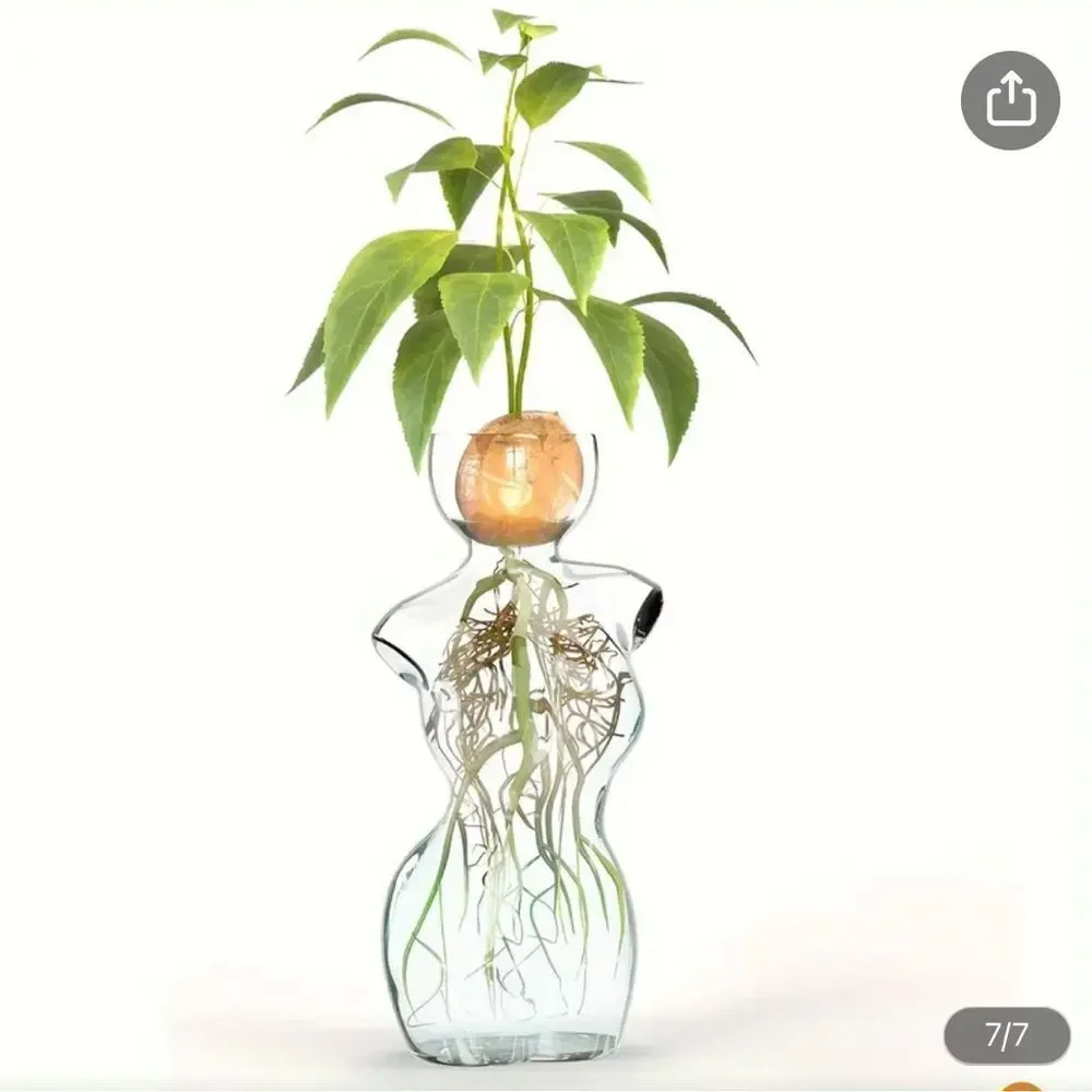 Elegant Glass Vase with Green Plant